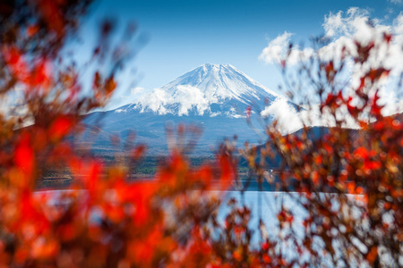 从湖山富士视图