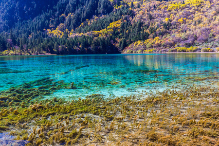 九寨沟谷风景名胜区