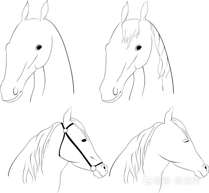 马头插画-正版商用图片1fl2iu-摄图新视界