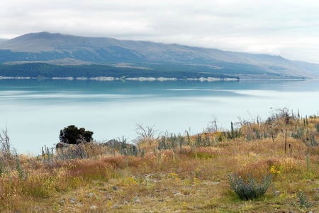 下湖在新西兰南部的风景