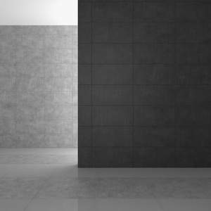 灰色的瓷砖空现代浴室