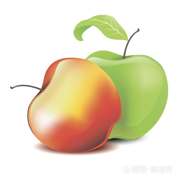两个多汁的红色和绿色苹果叶