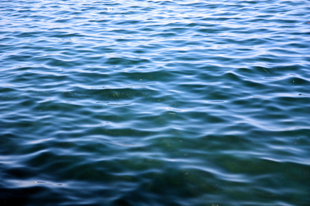 蓝绿色的海洋表面与鱼全帧组成的背景
