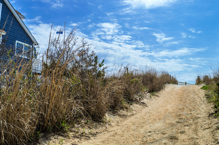 海滩通路冲浪城