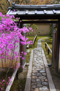 京都