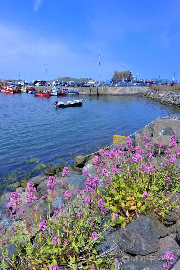 霍斯港县都柏林爱尔兰