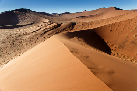 在 sossusvlei，纳米比亚的沙丘