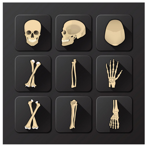 颅骨和骨医疗及健康图标集