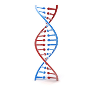 dna 结构 抽象背景的 3d 渲染