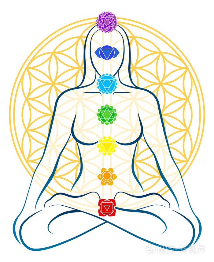 花的一生脉轮的女人