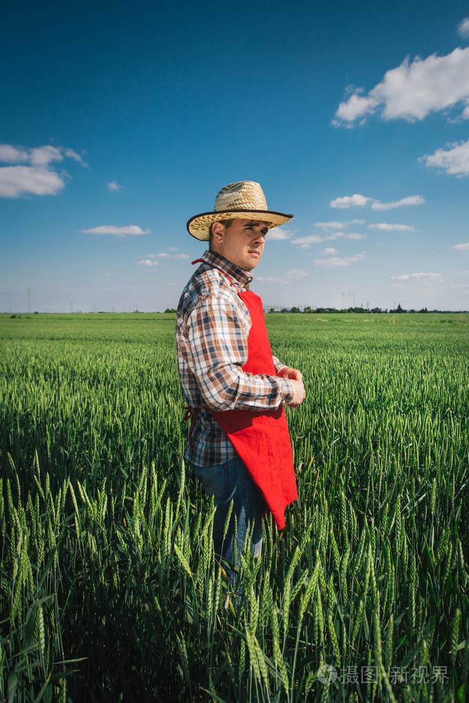 在该字段中的农夫