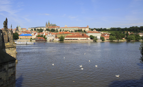 布拉格城堡和河伏尔塔瓦河