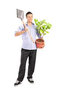男子手持一把铲子和一种植物