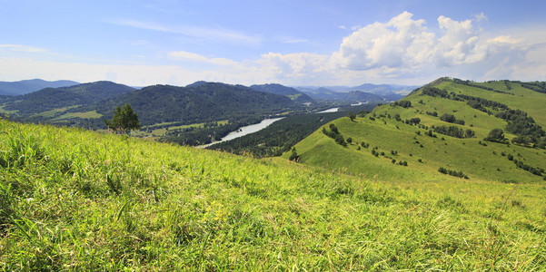 美丽的夏天全景图的阿尔泰山和河 k