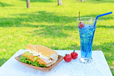 在花园里的午餐