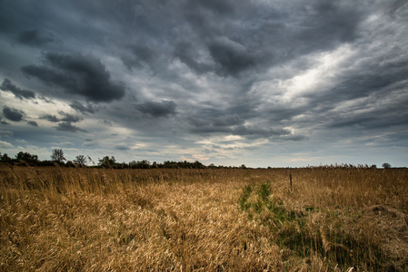 暴风雨天空在农村湿地景观图片