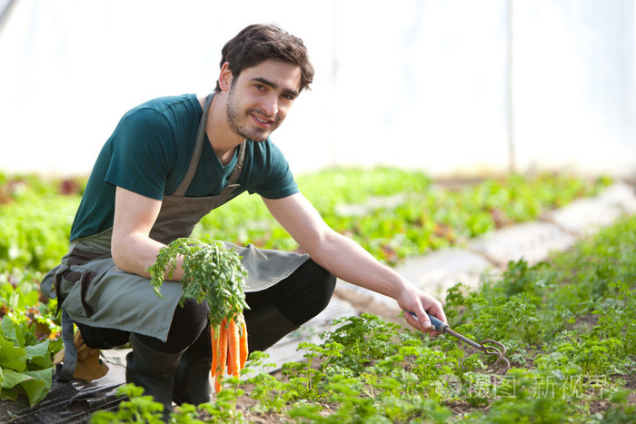 年轻有吸引力的农夫收获胡萝卜