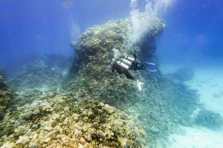潜水员在齿轮中的游泳水下珊瑚礁之际