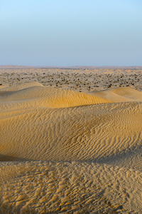 阿曼沙漠沙丘阿曼