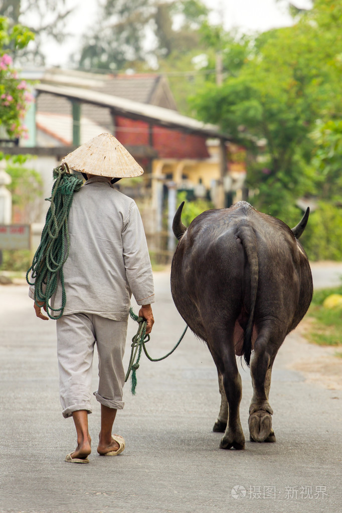 在传统的越南帽子的男人