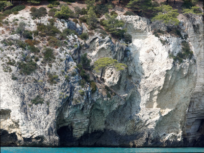 加尔加诺阿普利亚意大利的海岸的 landscapre