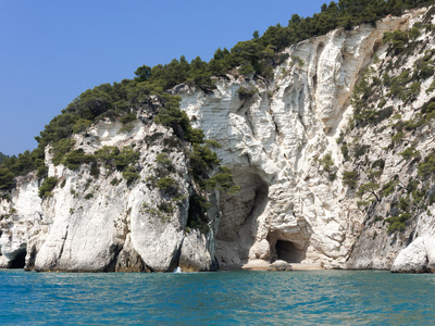 加尔加诺阿普利亚意大利的海岸的 landscapre