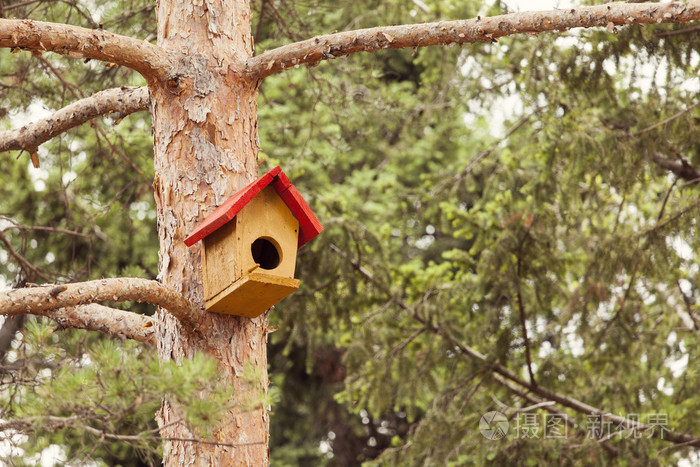 黄色小鸟在树上的房子