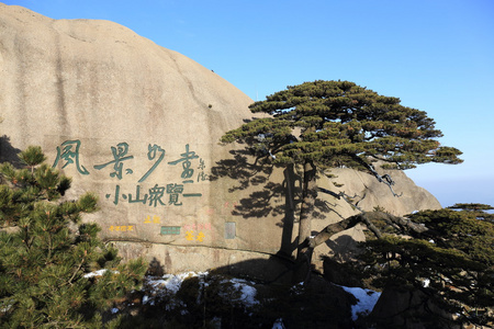 山的风景