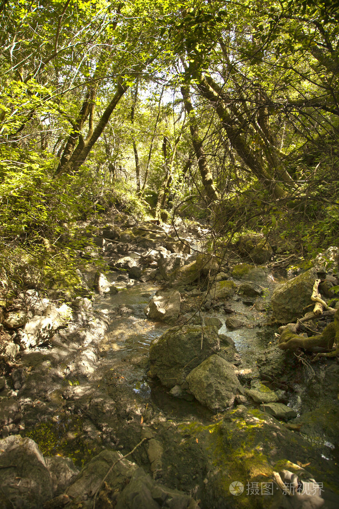 山间溪流从山上流下来