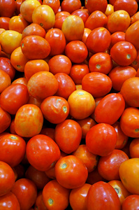 集团的新鲜番茄