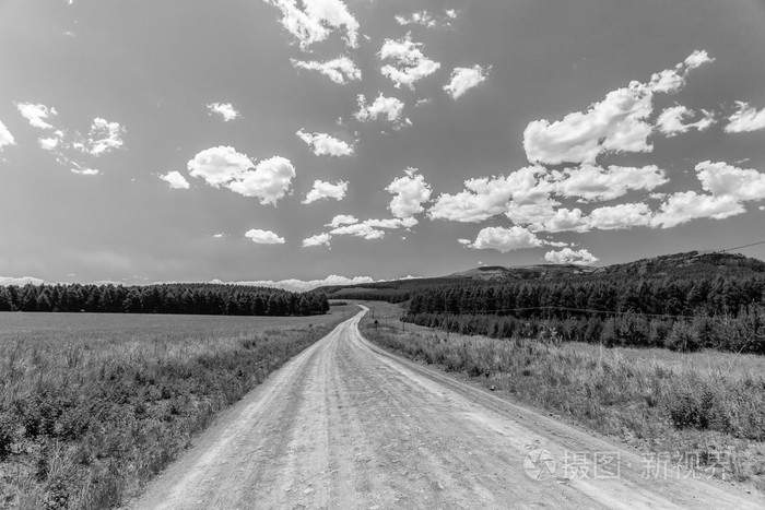 土路地平线树黑白色的细节
