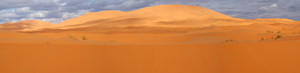 撒哈拉大沙漠的 panoramatic 概述