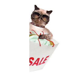 猫。购物者。销售