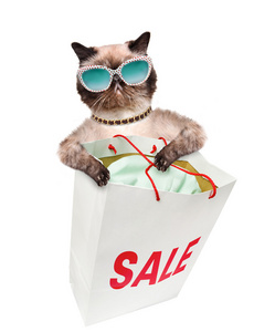 猫。购物者。销售