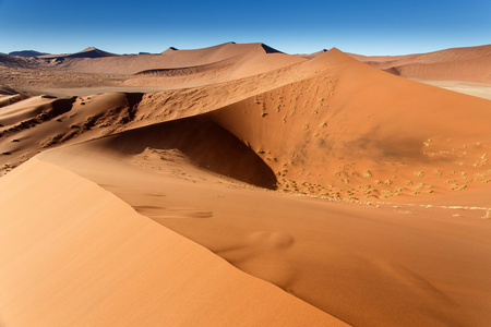 在 sossusvlei，纳米比亚的沙丘