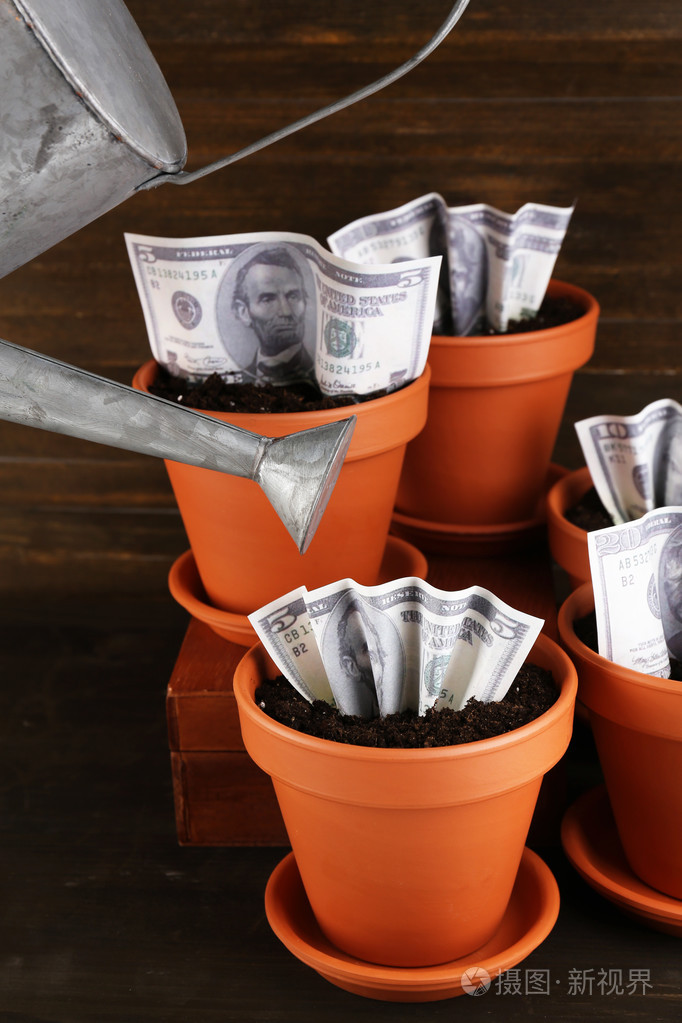 经营理念增加钱在桌上的花盆