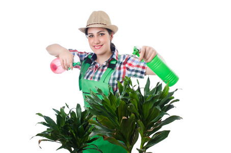 女孩浇灌植物