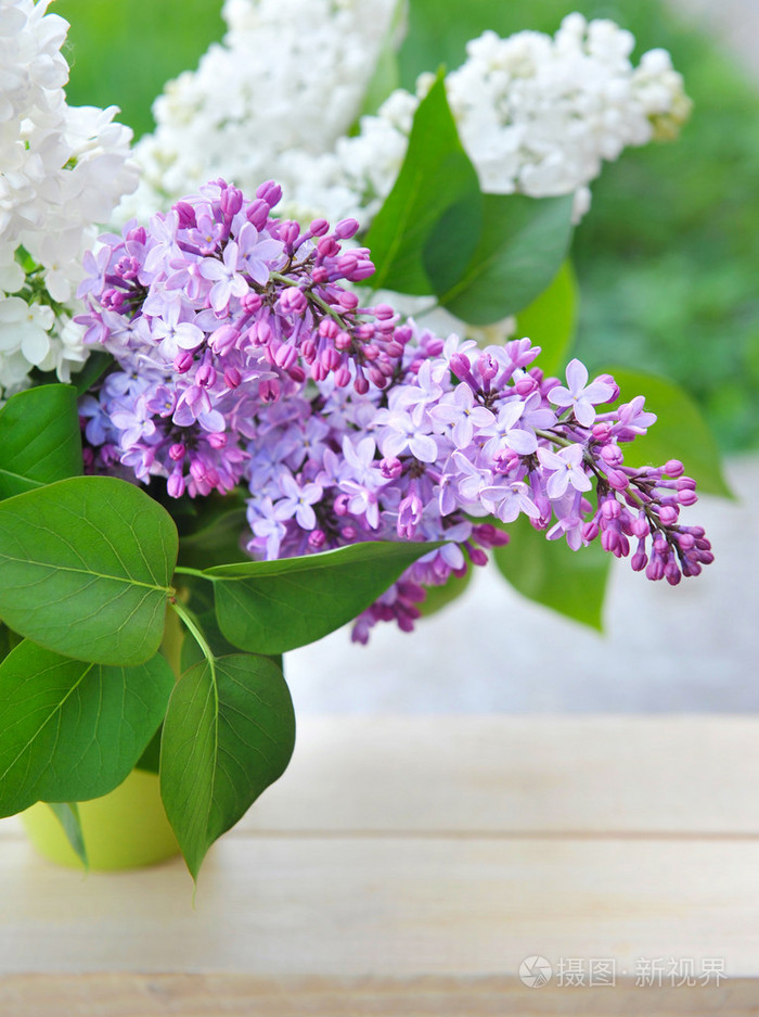 丁香自然背景上的花束