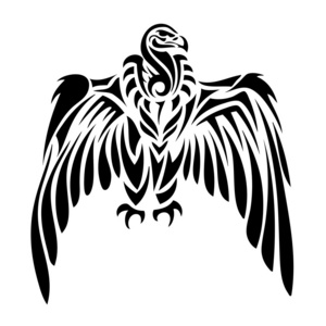 部落的秃鹫照片