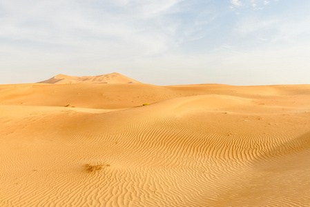 阿曼沙漠沙丘阿曼