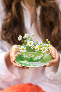 洋甘菊茶杯子图片