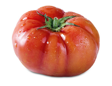 用滴孤立的番茄