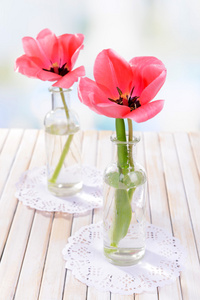美丽的郁金香，在明亮的背景上桌上的花瓶中的存储桶中