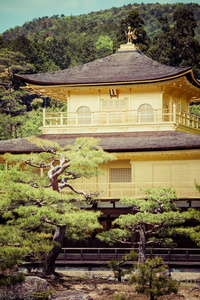著名的金阁在日本京都的金阁寺