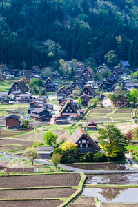 传统和历史的日本村町白川乡 日本