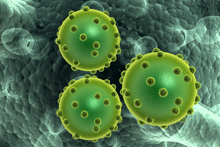 绿色细菌入侵细胞引起的疾病