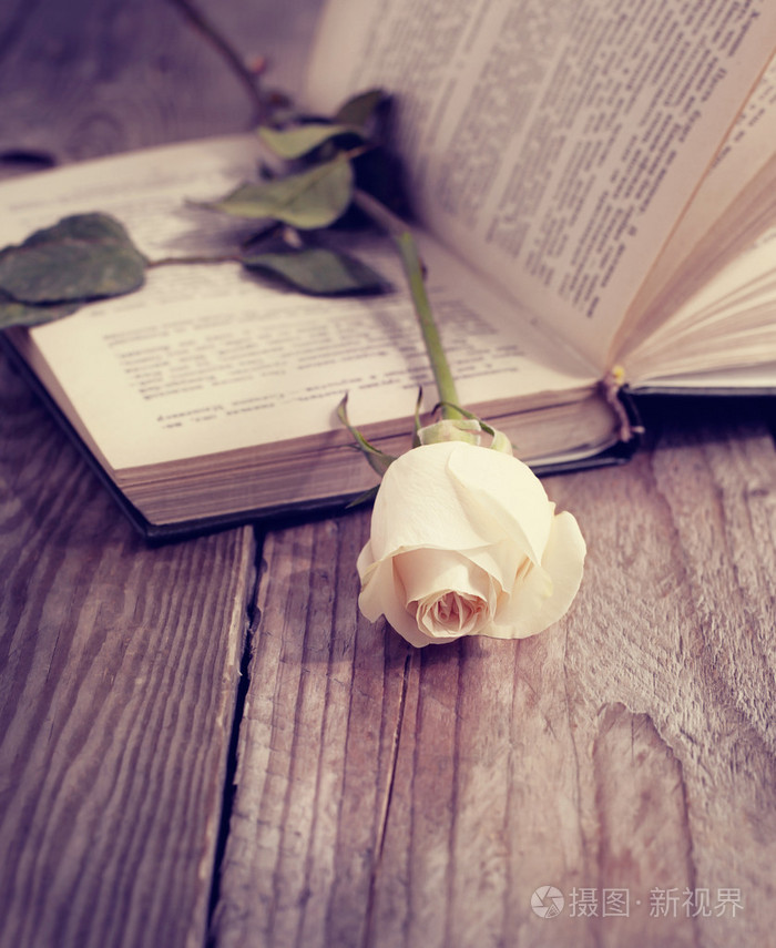 色调的图像照片-正版商用图片1foqji-摄图新视界