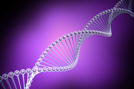 蛋白质链扭曲的 dna 链模型照片