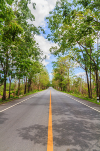 农村的道路