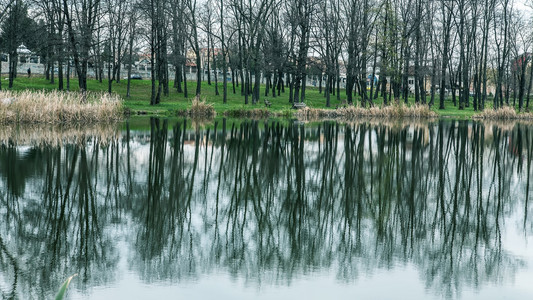 下湖的风景